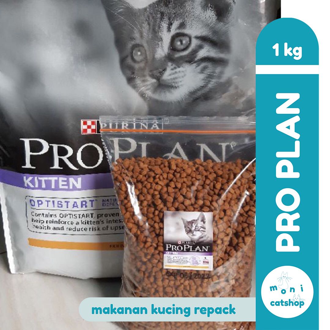 harga pro plan kitten repack