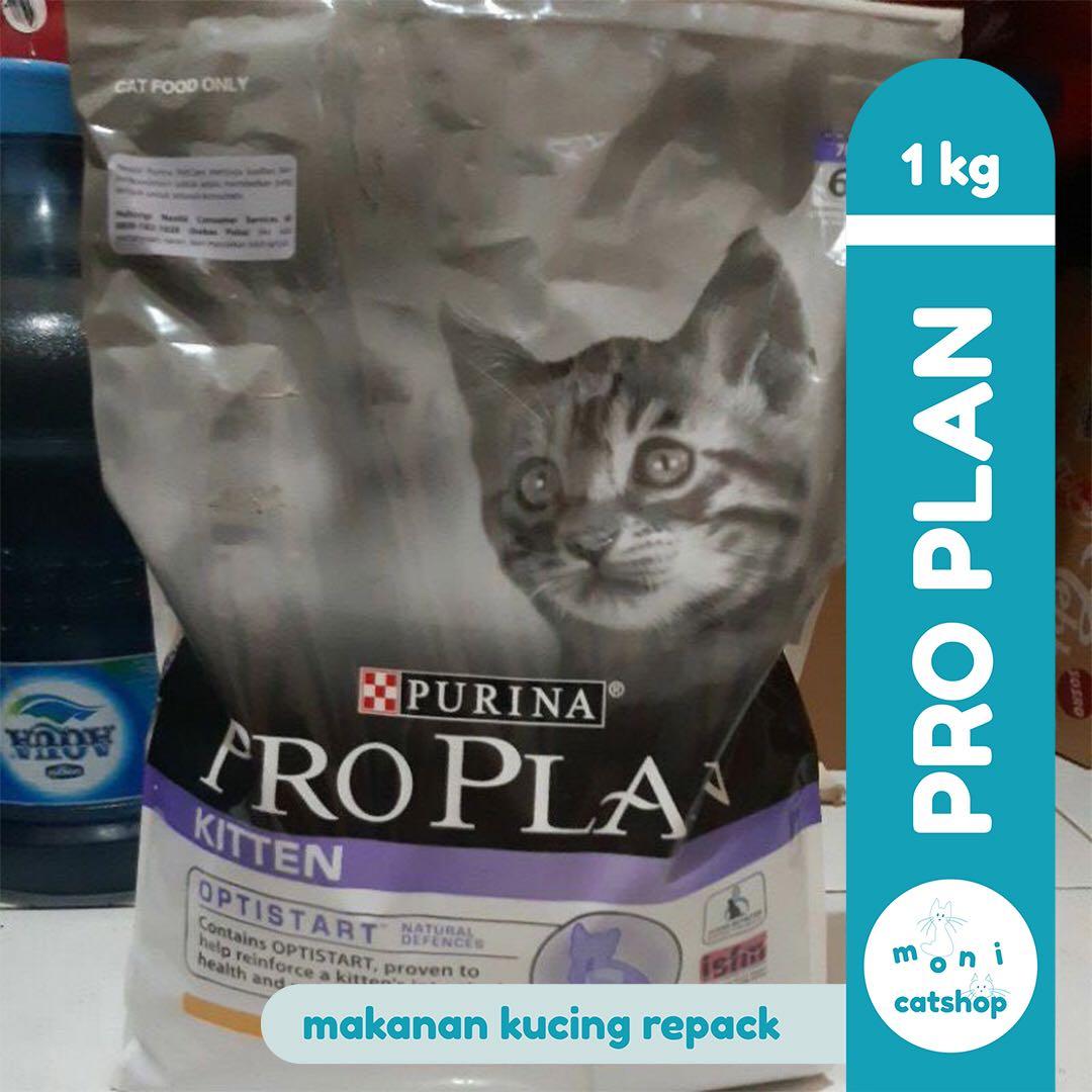 Harga pro sales plan kitten repack