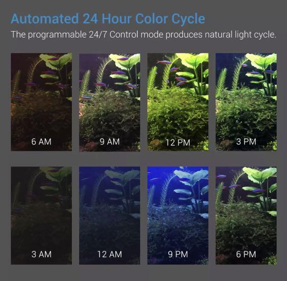 Nicrew RGB PLUS Aquarium Light, Pet Supplies, Homes & Other Pet