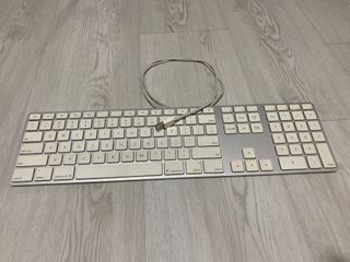 (Category: ) located in . Submitted by litterblue (Listing ID 1091090936, Image 1). Description: .