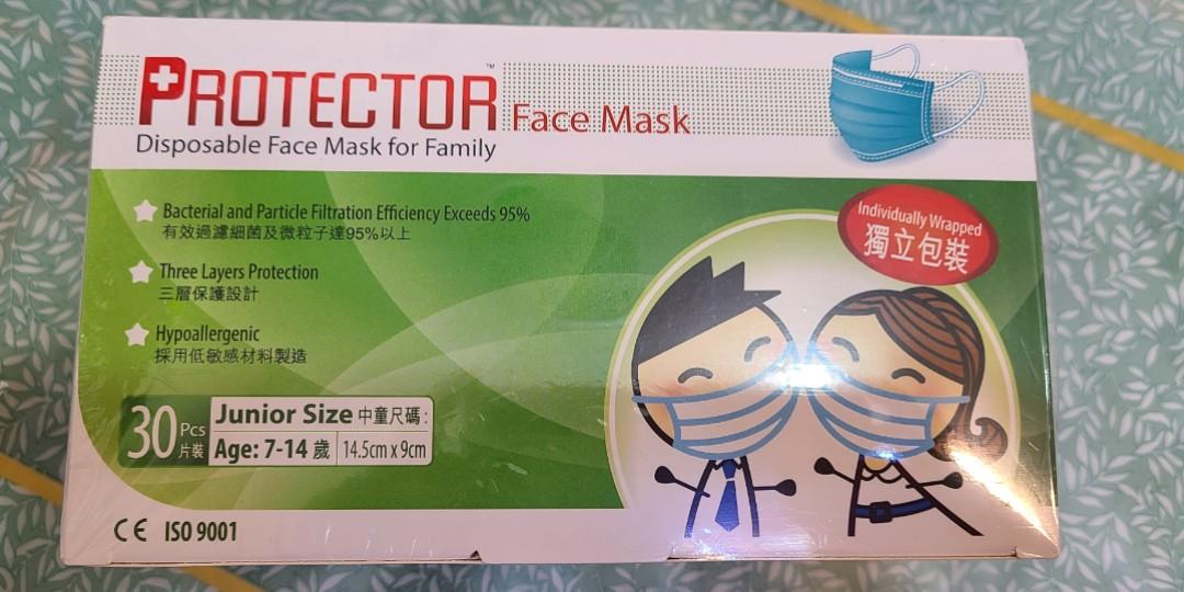 Protector Face Mask口罩 30個 盒 其他 其他 Carousell