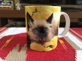 (Category: ) located in . Submitted by fishyl126 (Listing ID 1091031351, Image 1). Description: .