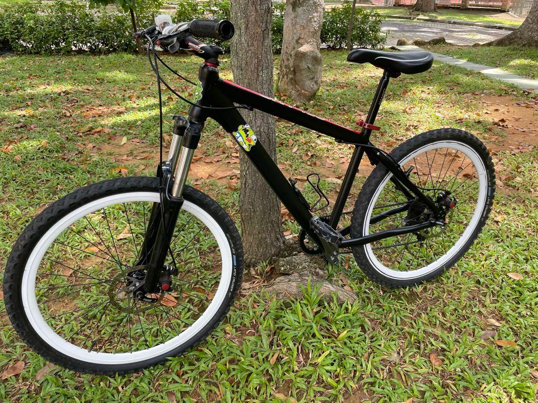 Custom hardtail mtb 2025