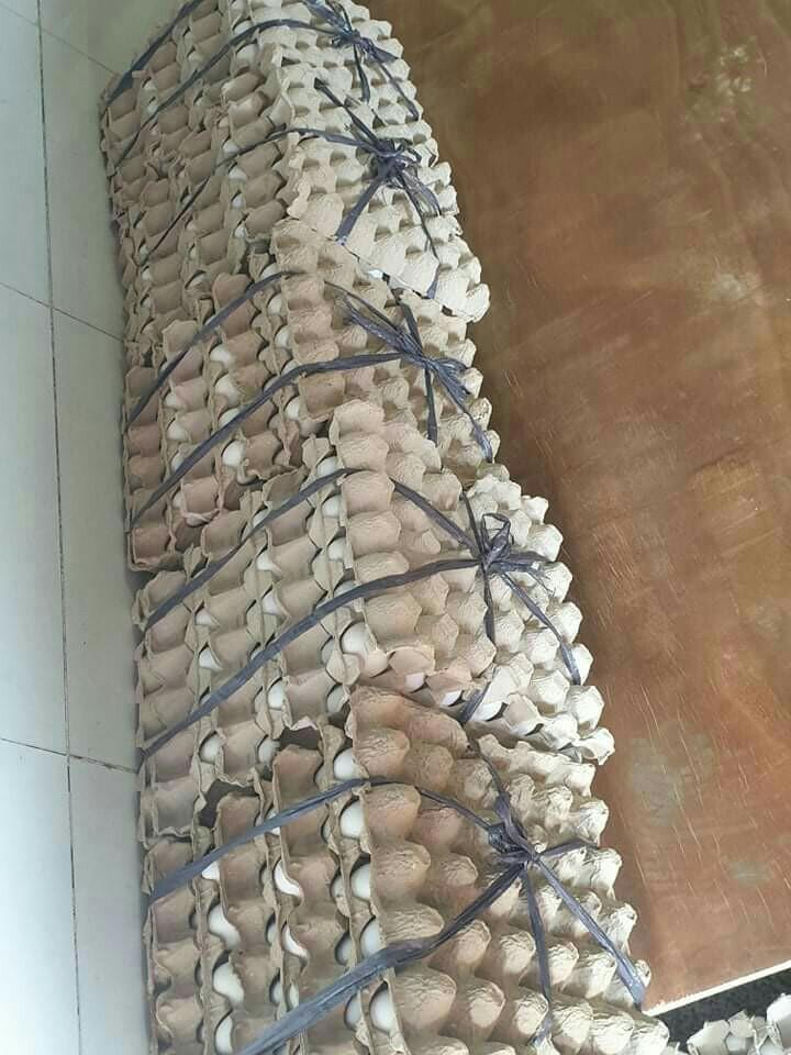 Fresh Chicken Eggs | No Minimum Order (Category: Local Eats) located in Malabon City. Submitted by overflowph (Listing ID 1091283753, Image 3). Description: Pweding paninda, Pweding pangnegosyo. Pwedi rin stocks sa bahay mo :) 1 tray equivalent to 30 eggs FREE DELIVERY in Malabon atleast 3 trays Pricelist: SMALL - 120 Pesos MEDIUM - 145 Pesos EXTRA LARGE - 175 Pesos PM your order madam/sir 🤗.