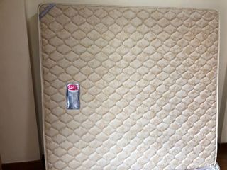 (Category: ) located in . Submitted by wellpkg (Listing ID 1091190950, Image 1). Description: .