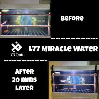 (Category: ) located in . Submitted by l77customtank (Listing ID 270045050, Image 1). Description: .