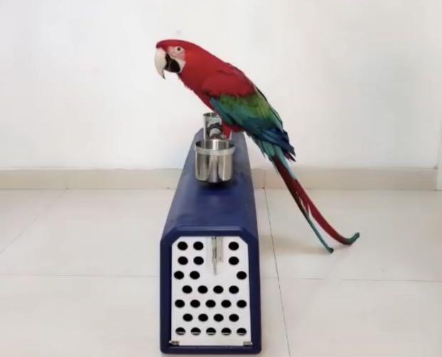 Macaw carrier