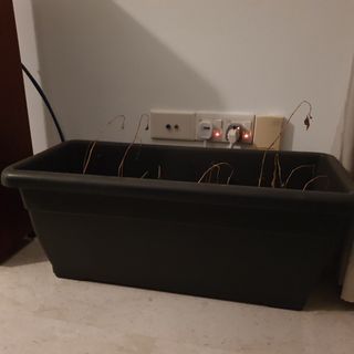 (Category: ) located in . Submitted by sverrestoltz (Listing ID 1085674647, Image 1). Description: .