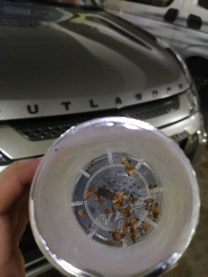 Pest Control, Cockroaches Control, Car Polish+Interior Grooming, Car Polishing, Car wash
