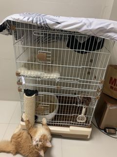 （分類：）位於 。 由 k.0423 提交（商品編號 1085717980，圖片 1）。簡介： 。