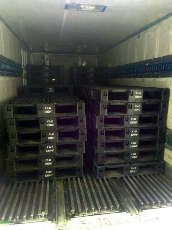 plastic pallet paleta (Category: Construction & Building Materials) located in Marikina City. Submitted by irene.00999 (Listing ID 1085559201, Image 3). Description: plastic pallet good as new - slightly used 120 x 80 x 14 cm - 1 ton color black Call us for more info and free quote 8 two 8 eight-8 7 4 six / 7 9 4 four -0 9 1 two / 8 4 7 7 -0 5 2 one 0 9 3 3 2 9 4 5 8 4 5 0 9 7 7 1 9 8 0 3 4 0 Email us here: joekelcee@gmail.com .