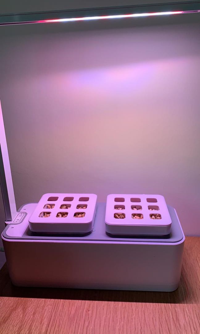 Smart garden, Furniture & Home Living, Outdoor Furniture on Carousell