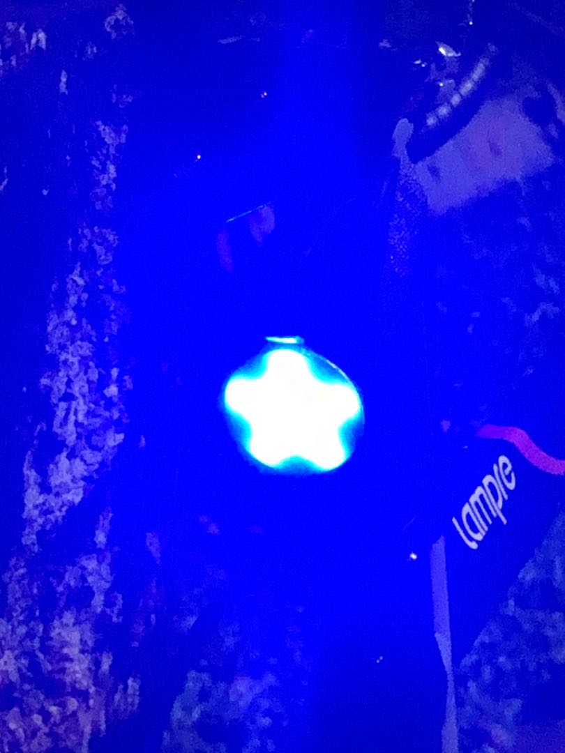 Very bright rear light red and blue, Bicycles & PMDs, Parts