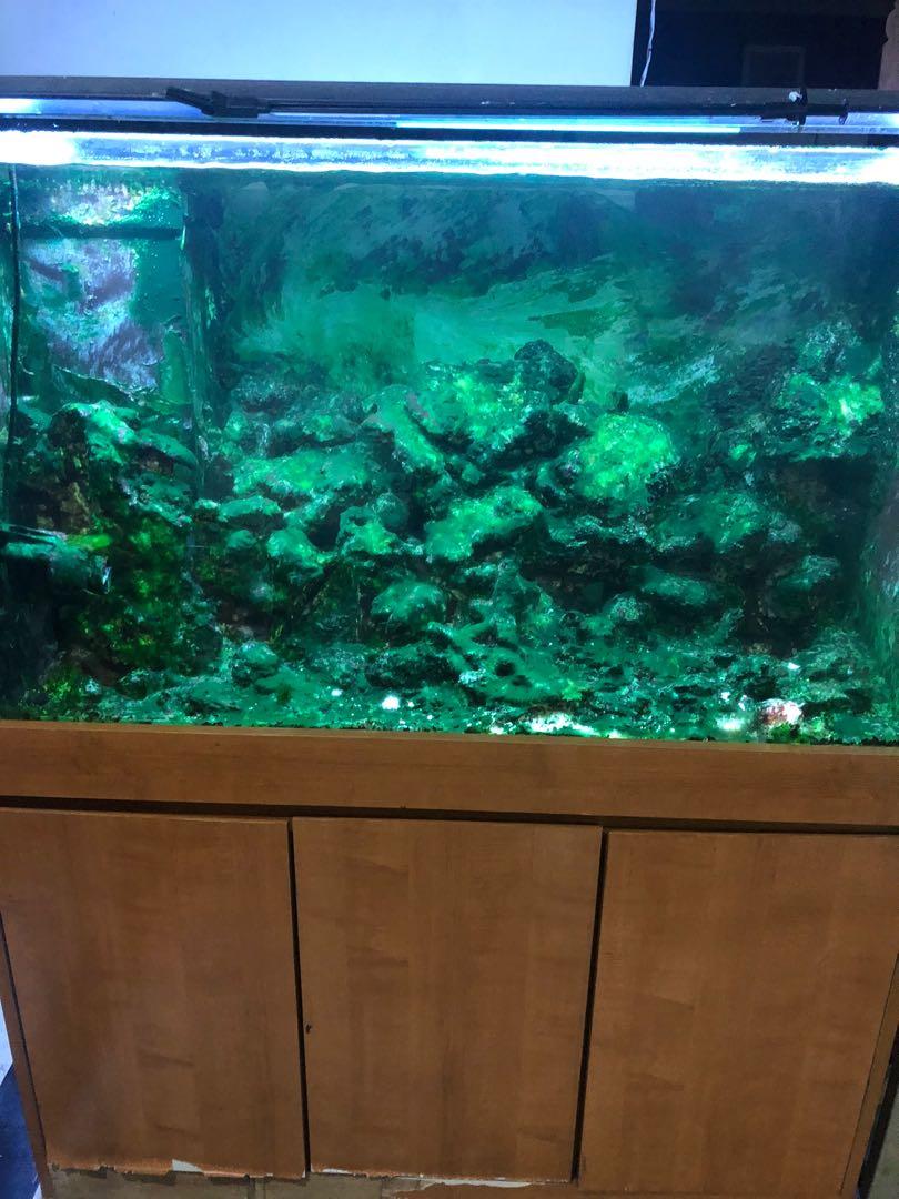 Eheim deals fish tanks