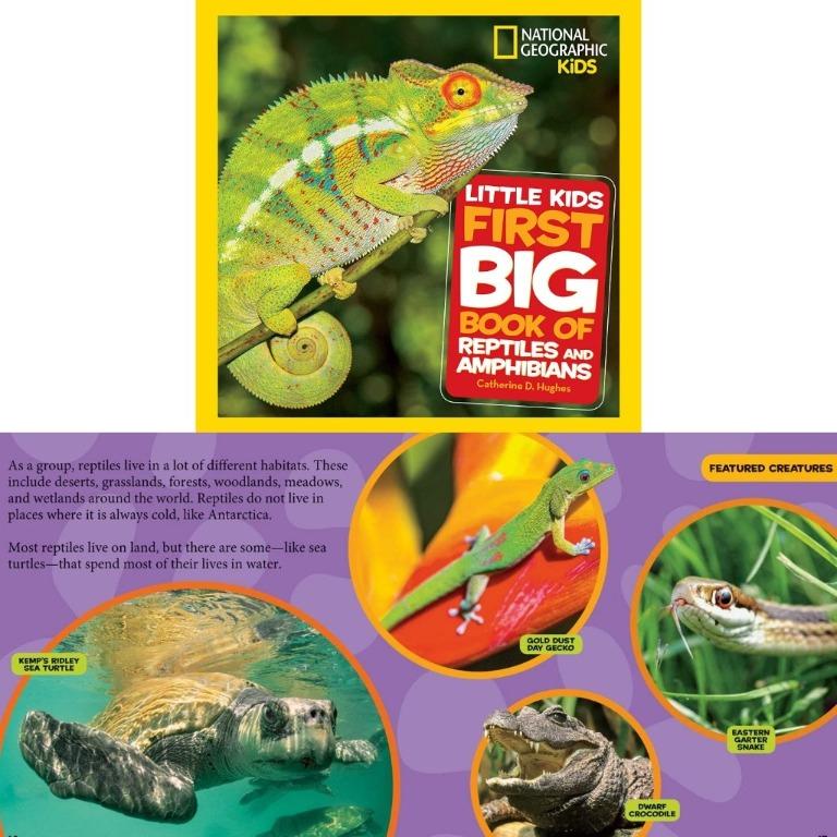 BN Book: National Geographic Little Kids First Big Book of