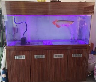 (Category: ) located in . Submitted by luxury_shields (Listing ID 1085823133, Image 1). Description: .