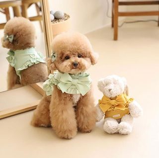 （分類：）位於 。 由 dog_papa 提交（商品編號 1085778822，圖片 1）。簡介： 。