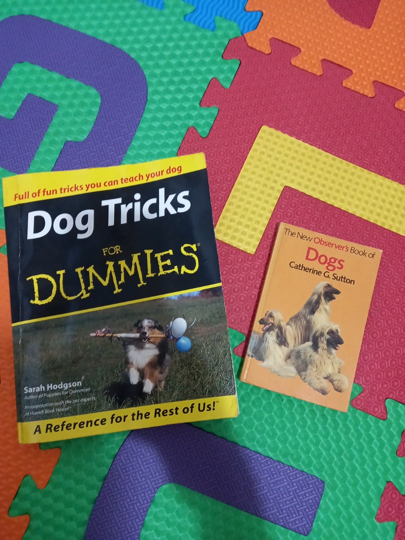 dog tricks for dummies, Hobbies & Toys, Books & Magazines, Fiction