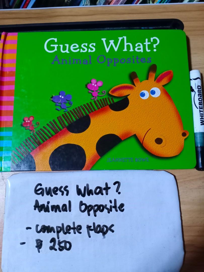 Guess What? Opposites Lift the Flap Book, Hobbies & Toys, Books & Magazines, Children's Books on Carousell
