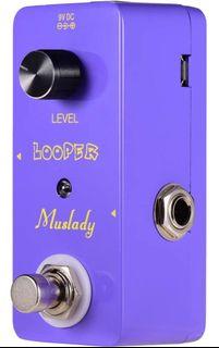 Guitar pedal Looper