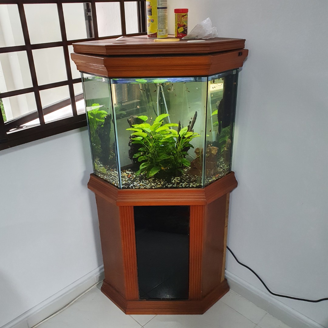 Hexagon fish tank shop stand