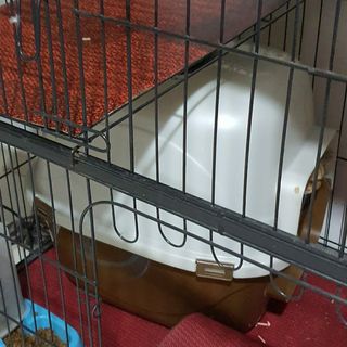 (Category: ) located in . Submitted by ayangjimutalways (Listing ID 1085876342, Image 1). Description: .