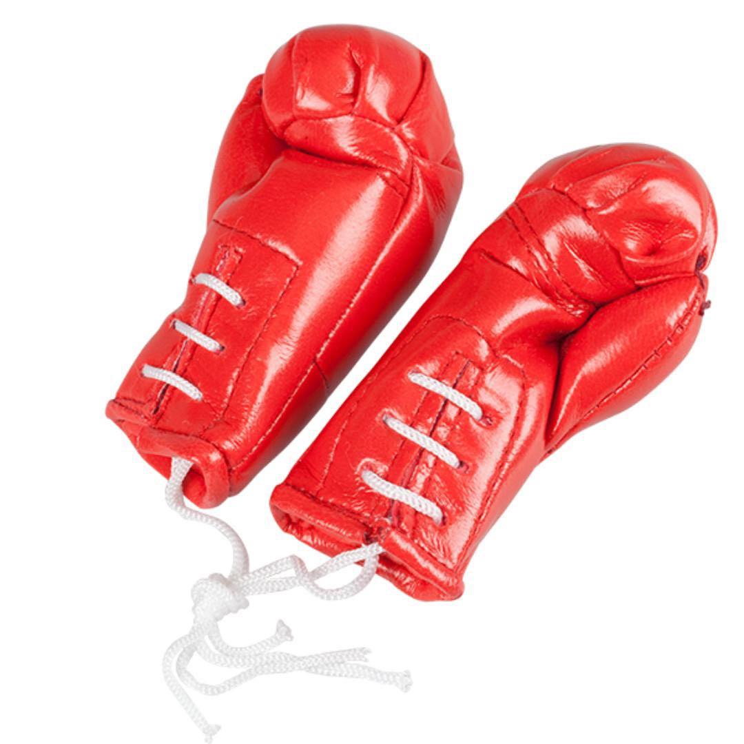 Liverpool Red Football Club Mini Boxing Gloves Show Your Colours 