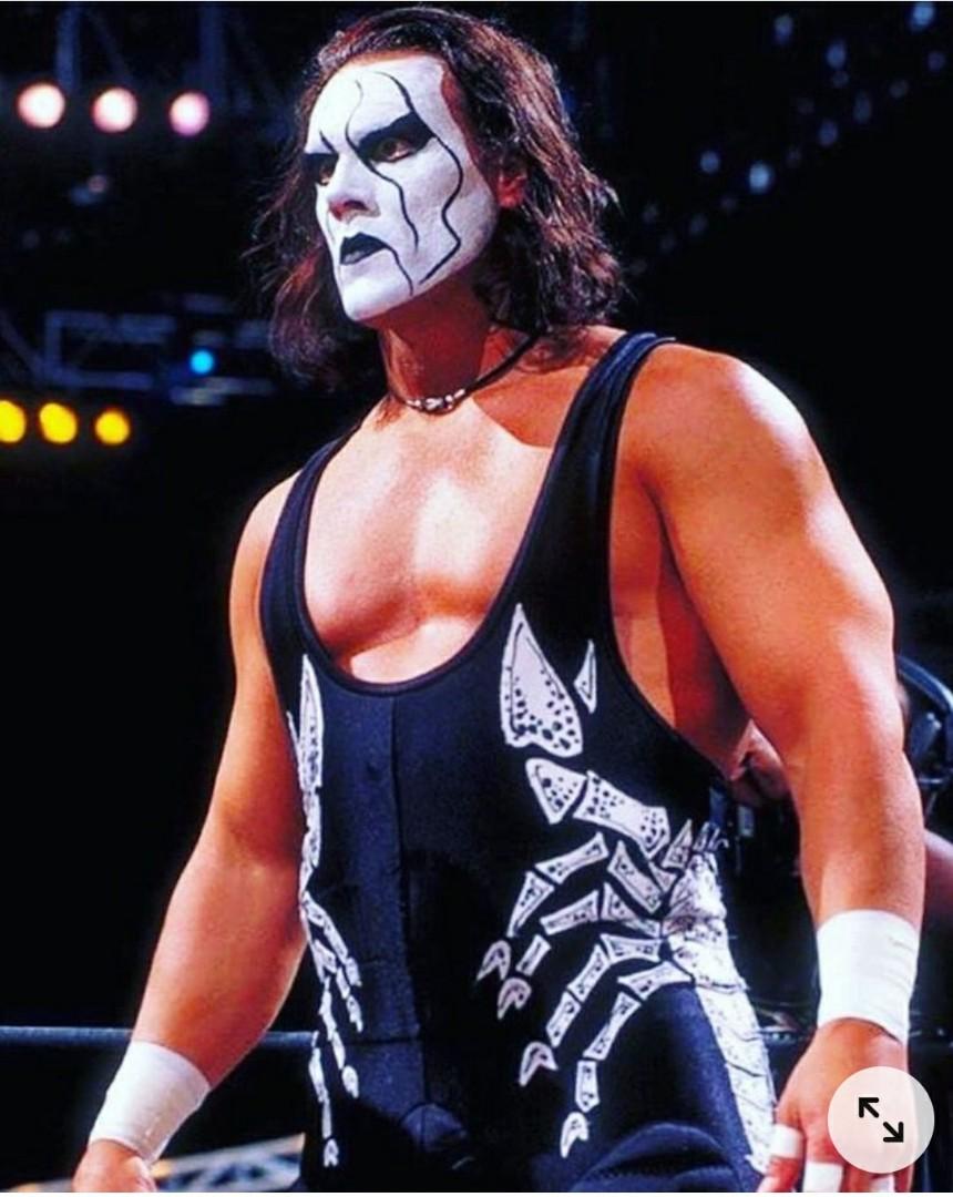 WWE WcW nWo Figure Sting 六款魔蠍史汀, 興趣及遊戲, 玩具& 遊戲類