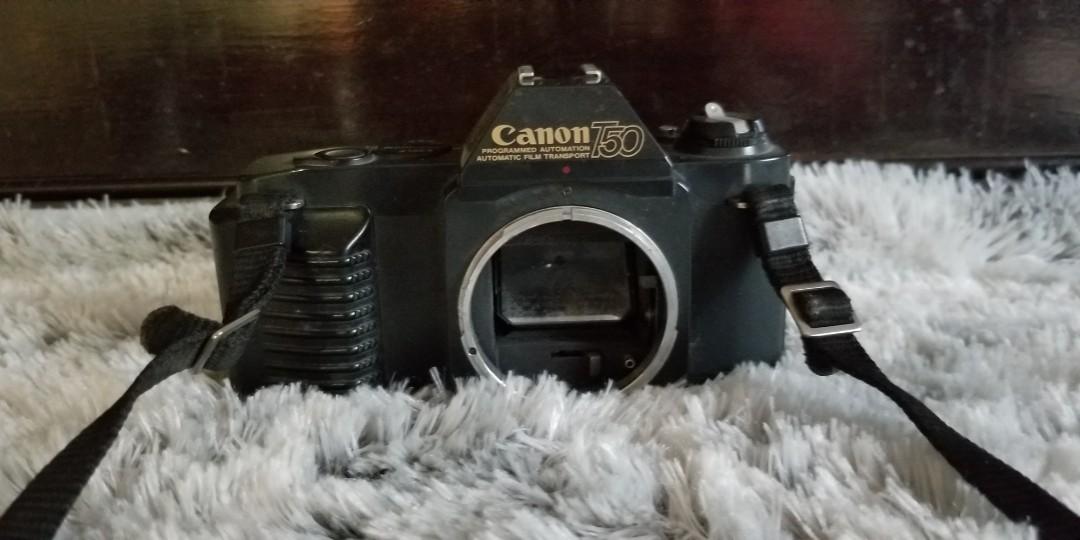 canon t50 photography cameras on