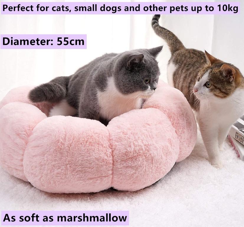 Machine Washable Pet Beds Super Soft Durable Fabric Pet Supplies Donut Pet Beds for Cats or Small Dogs Rainbow Cat Beds Round Fluffy Cat Bed for Indoor Cats 