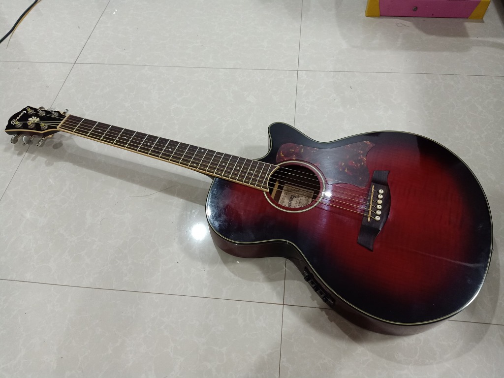 Ibanez aeg24ii for sale sale