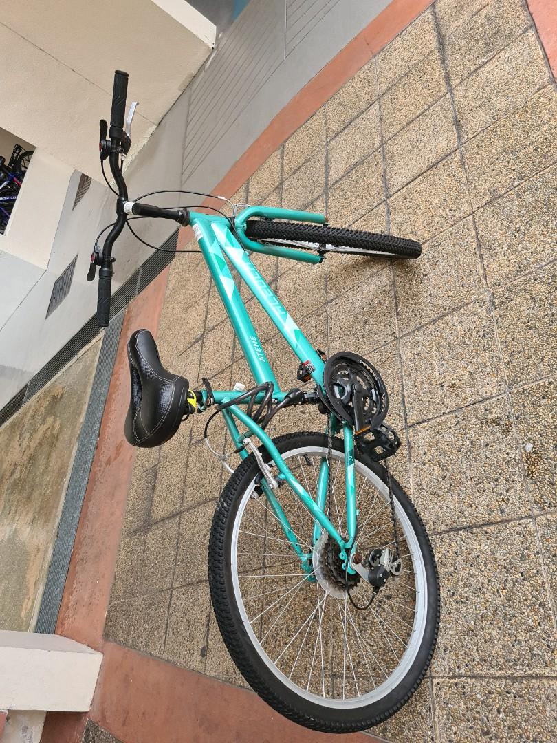 universal bike chain guard