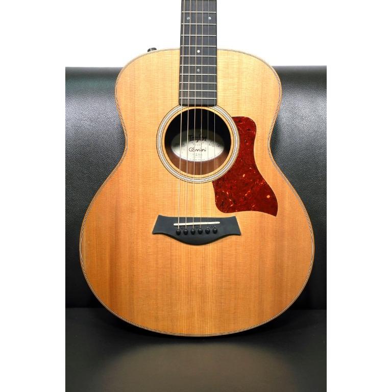Taylor gs clearance mini es2