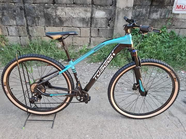 TOSEEK BRANDON small frame 29er