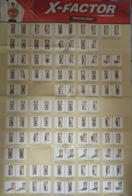 Weider XFactor TotalBody Training System Door Home Gym 210lbs + DVD