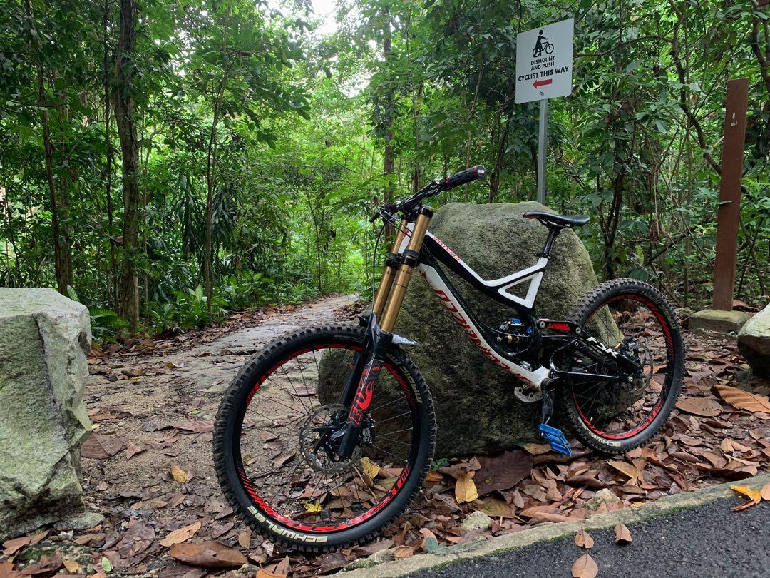 Specialized demo 8 hotsell fox 40