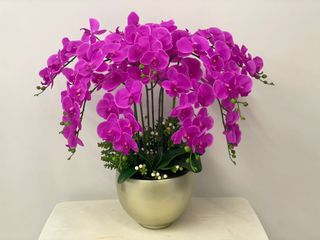 (Category: ) located in . Submitted by rosyflowers (Listing ID 1086171882, Image 1). Description: .