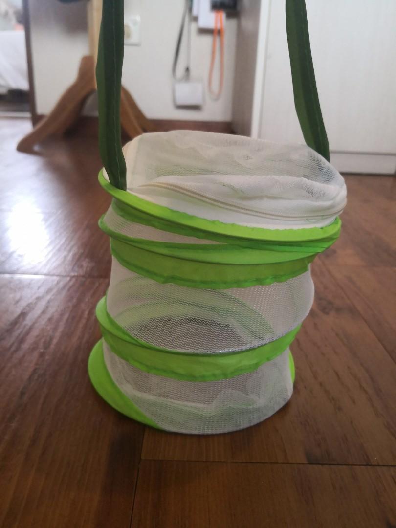 Butterfly Net Cage for Kids, Pet Supplies, Homes & Other Pet Accessories on  Carousell