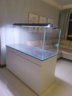 (Category: ) located in . Submitted by aquaticstore (Listing ID 1086252638, Image 1). Description: .