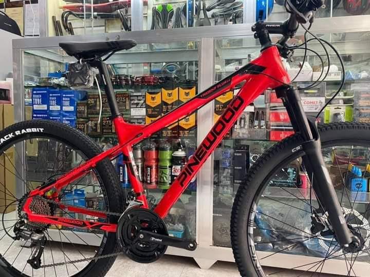 Pinewood mtb frame top