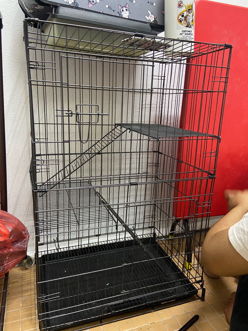 Sangkar Kucing, Pet Supplies, Pet Accessories on Carousell