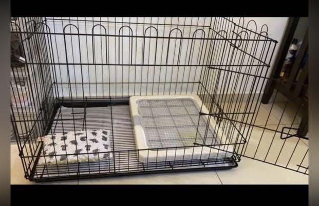 Dog training crate with exact fit pee tray