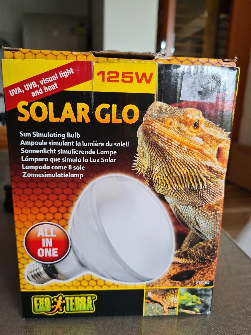 Exo Terra Solar GLO, Pet Supplies, For Small Animals, Pet Accessories on  Carousell