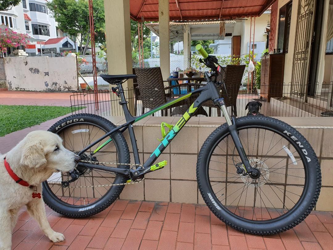 Trek roscoe 6 best sale xl