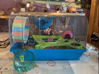 (Category: ) located in . Submitted by happypanda01 (Listing ID 1086601672, Image 1). Description: .