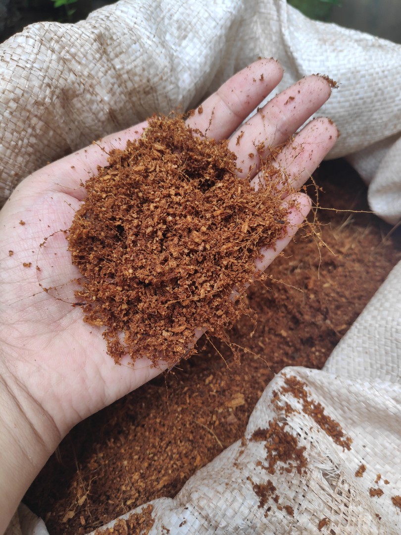 Coco peat, Furniture & Home Living, Gardening, Gardening Tools ...
