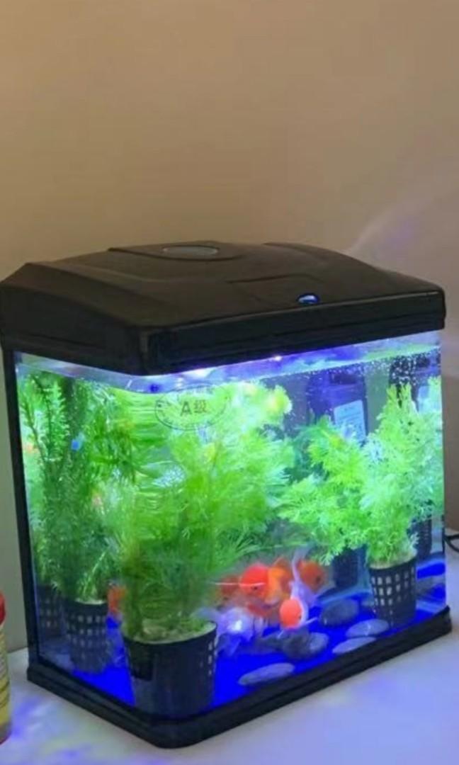 Sales and almost new fish Tank Set, Pet Supplies, Homes & Other Pet