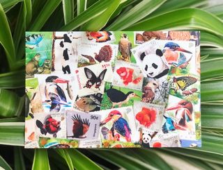 (Category: ) located in . Submitted by thepostcardhut (Listing ID 1086594287, Image 1). Description: .