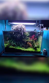 (Category: ) located in . Submitted by kenchew77 (Listing ID 1090947344, Image 1). Description: .