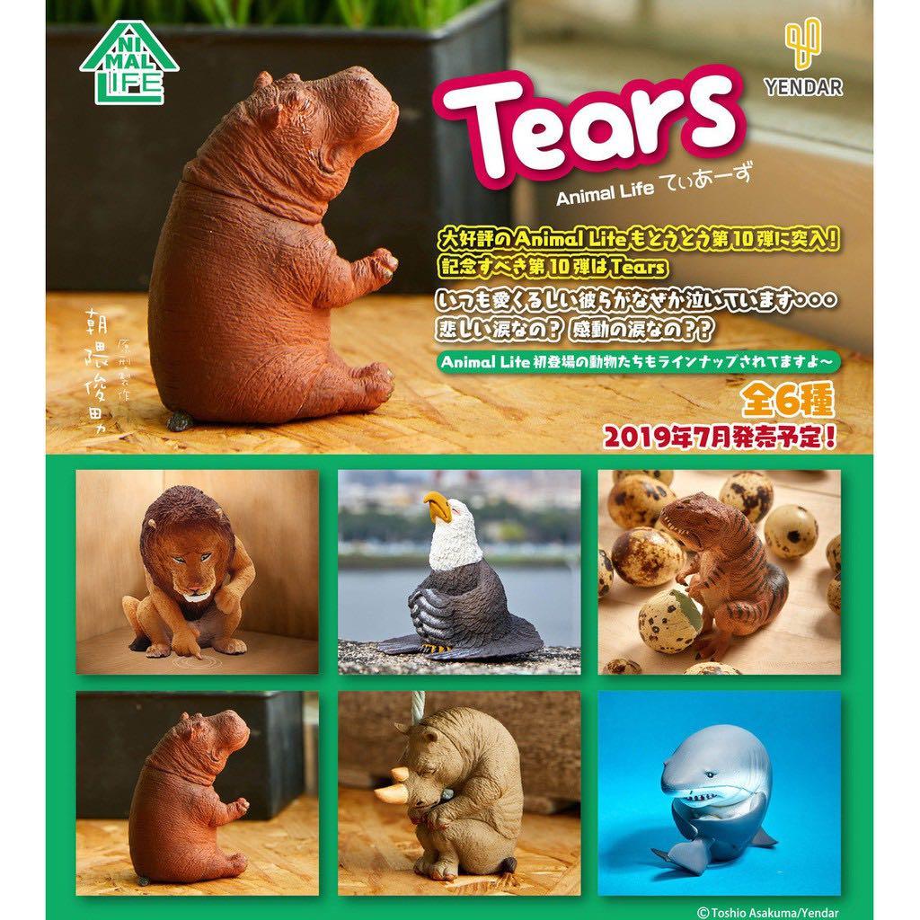 全套7隻連隱藏朝隈俊男Animal Life盒玩- Tears 可不可以不勇敢系列